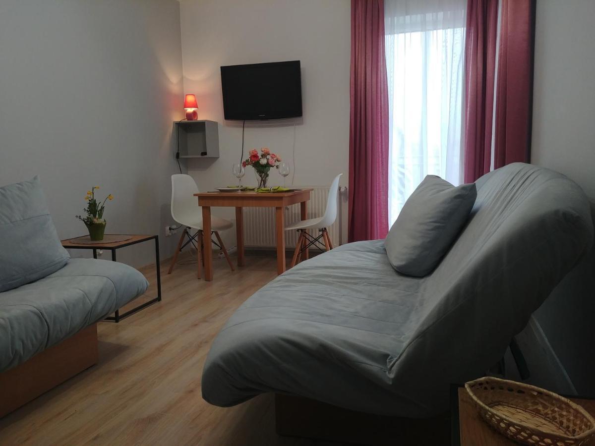 Apartament U Muzykow Krynica Morska Dış mekan fotoğraf