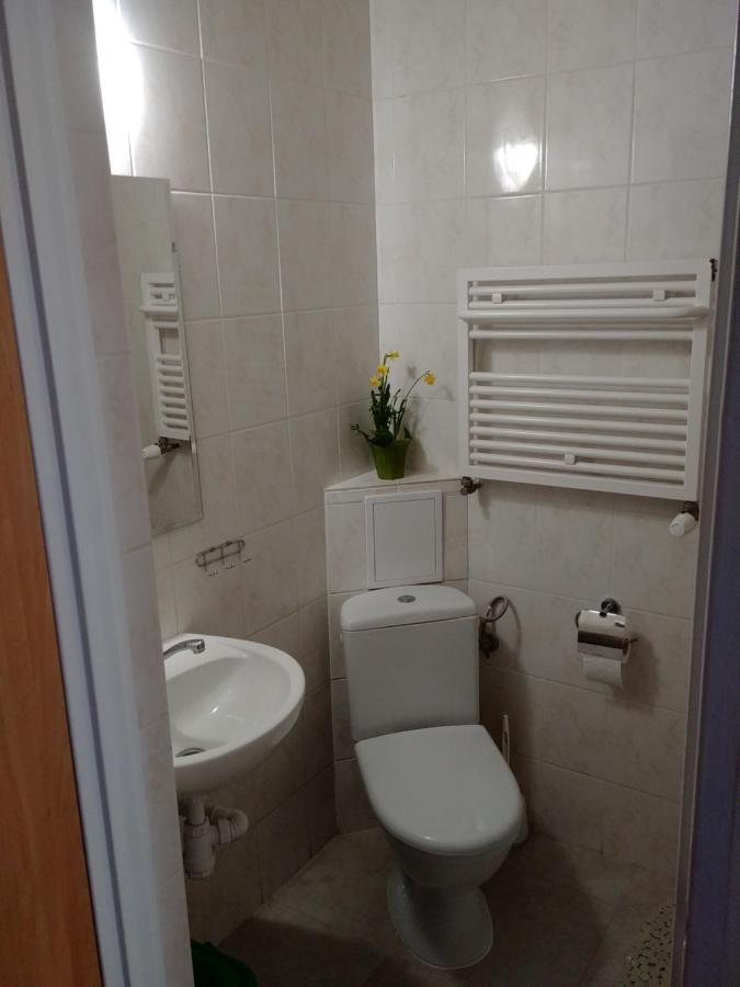 Apartament U Muzykow Krynica Morska Dış mekan fotoğraf